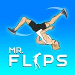 Play Game Mr Flip now !