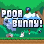 Play Game Poor Bunny now !
