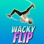 Play Game Wacky Flip now !